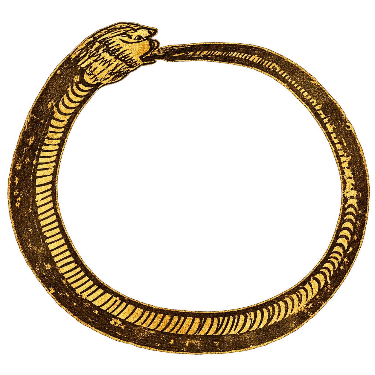 An ancient gold ouroboros, a serpent forming a ring as it bites its own tail.